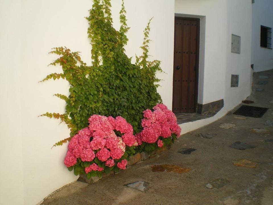 El Retiro Holiday home *
